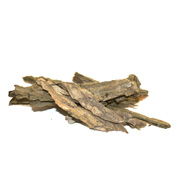Cedar