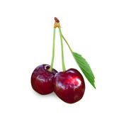 Cherry