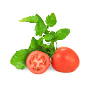 Tomato leaf