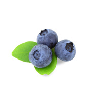 Blueberry