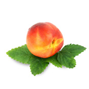 Nectarine