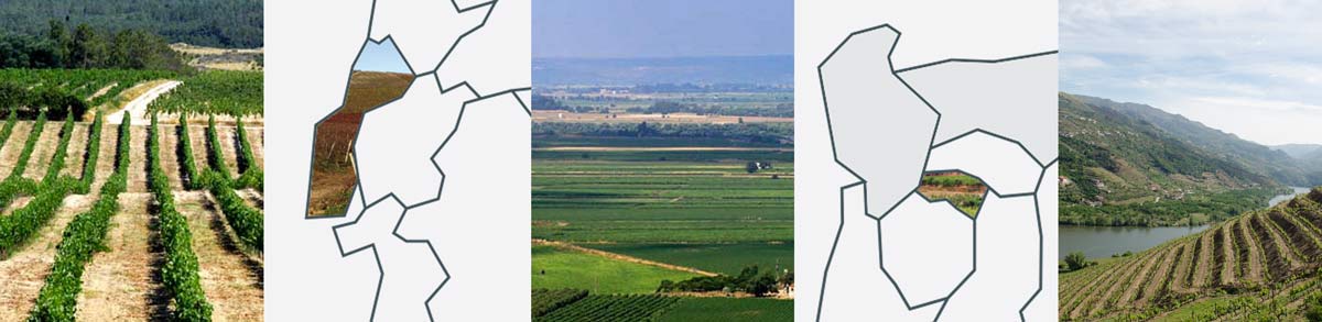 Learn more about Portuguese wine country