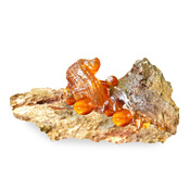 Resin