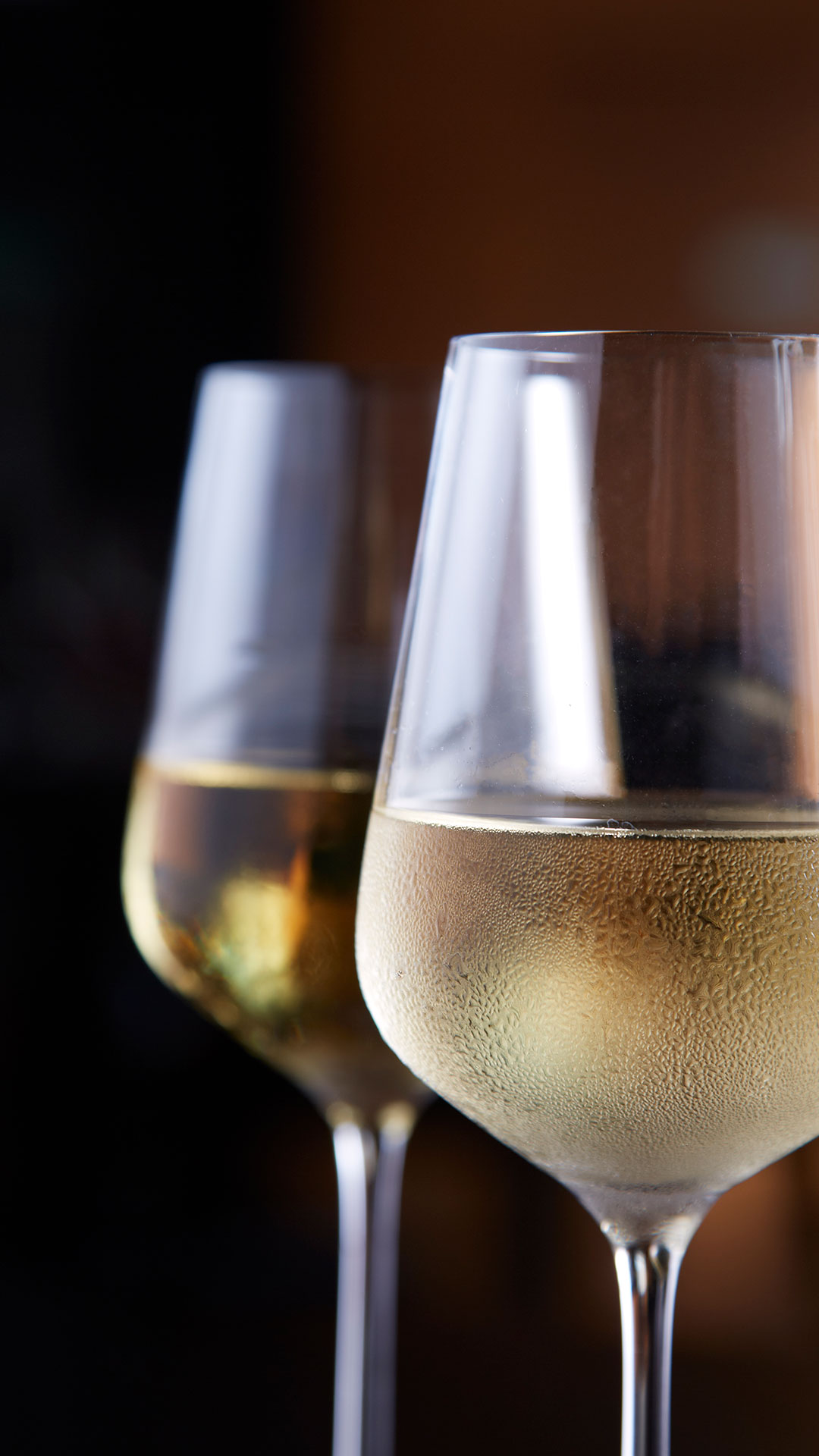 The Best White Wines in the World: 3 Must-Try Suggestions
