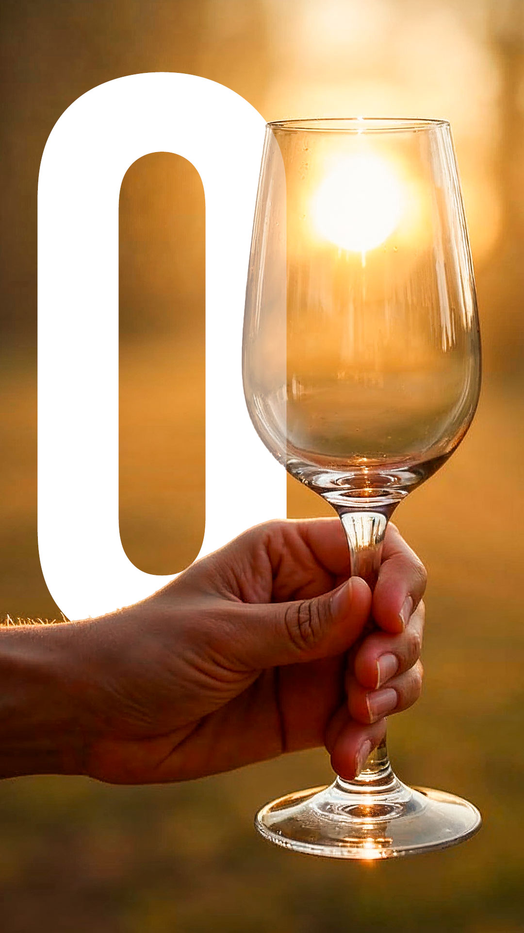 Non-Alcoholic Wines: Everything You Need to Know